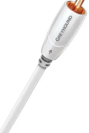 Audioquest Greyhound (2 m) Câbles caisson de basses | Coup de cœur