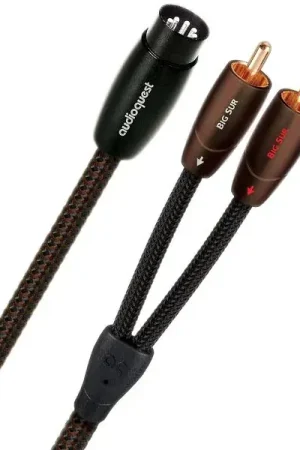 Audioquest Big Sur RCA/DIN (1 m) Câbles RCA/Cinch stéréo | Réduction spéciale