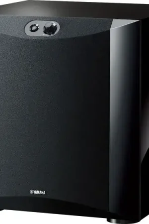 Profitez-en | Yamaha NS-SW300 Noir laqué Caissons de basses