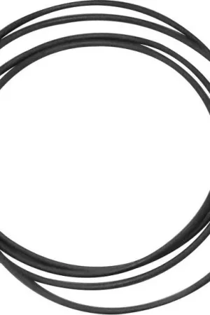 Courroie de rechange Project pour platine Perspective Courroies vinyle | Nouveau en boutique
