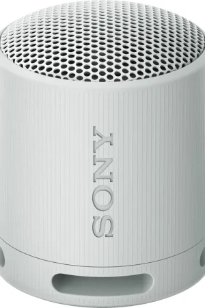 Achetez dès aujourd'hui | Sony SRS-XB100 Gris Enceintes Bluetooth portables