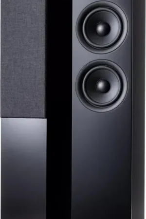Derniers jours | Argon Audio Forus 55 Noir (la paire) Enceintes colonne