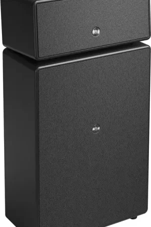 Audio Pro Drumfire W Noir Enceintes connectées - Best-seller