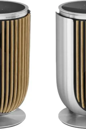 Bang & Olufsen Beolab 8 Silver + Façades Chêne clair + Pieds d'enceintes de table  Enceintes connectées - Livraison express