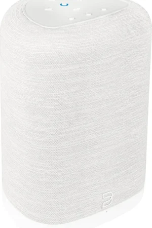 Bluesound Pulse Flex Blanc (2025) Enceintes connectées | Qualité supérieure