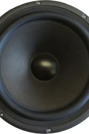 Très bien noté - Davis Acoustics 25 XXXLP (la pièce) Haut-parleurs voiture