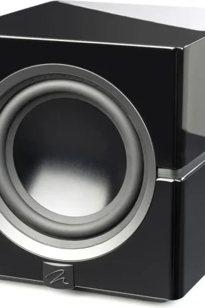 Meilleure vente | Martin Logan Dynamo 10 Noir laqué Caissons de basses