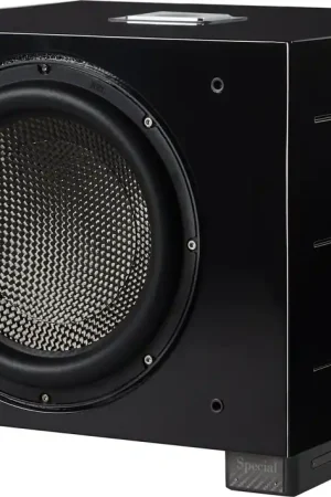 REL Acoustics Carbon Special Black Label Caissons de basses - Nouveau chez nous