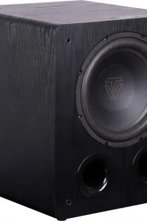ToneWinner SW-D1000 Caissons de basses | Économisez maintenant