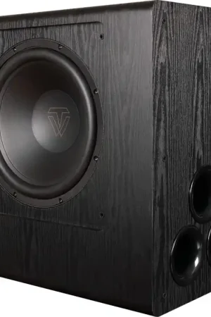 Plus que quelques pièces | ToneWinner SW-D8000 Caissons de basses