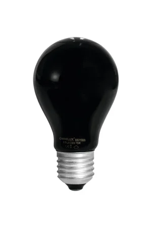 Dernière chance | OMNILUX A19 230 V/75 W E-27 UV