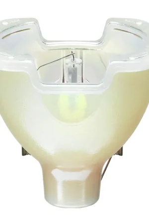 PHILIPS Lampe à décharge 15R MSD Platinum - Premium