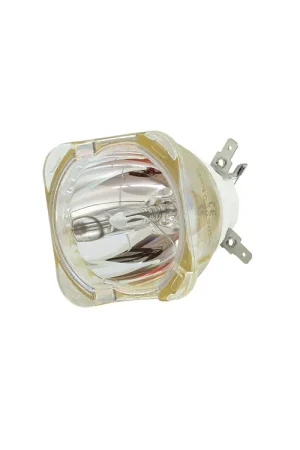 Tout juste arrivé | USHIO NSL 420 Lampe à décharge réflecteur