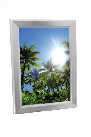 EUROPALMS Cadre A2, illuminé, aluminium | Qualité professionnelle