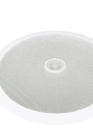 Bien noté - OMNITRONIC Haut-parleur de plafond 2 voies CST-8