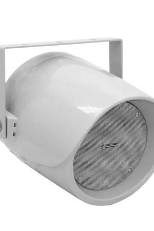 Cette semaine uniquement - OMNITRONIC Haut-parleur PS-30S