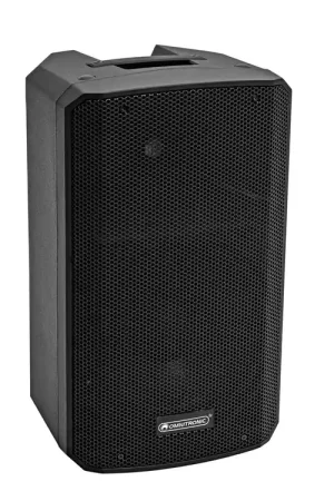 Bon plan | OMNITRONIC VFM-210 MK2 2-way Speaker