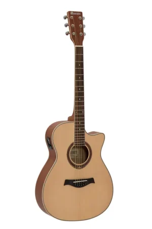 Offre exclusive | DIMAVERY Guitare folk AW-420, sapele, nature