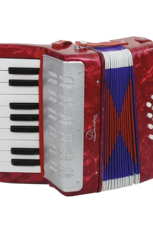 DIMAVERY Accordéon 1 1/2 octaves/8 basses - Tendance