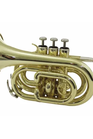 DIMAVERY Trompette de poche TP-300 B, or - Quantité limitée