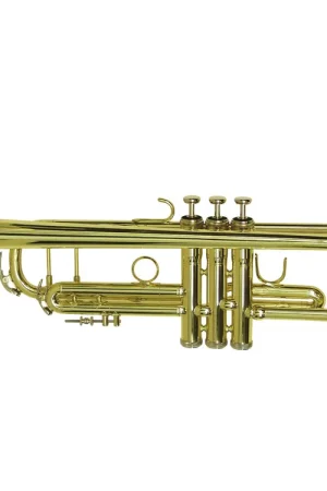 DIMAVERY Trompette TP-20 B, or - Expédition rapide