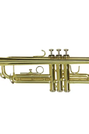 DIMAVERY Trompette TP-10 B, or | Profitez-en maintenant