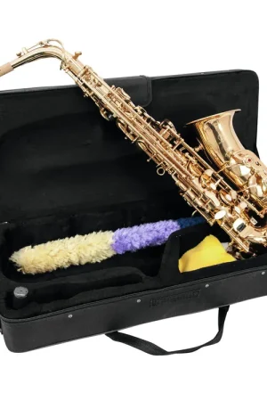DIMAVERY Saxophone alto SP-30 Eb, or - Offre à durée limitée