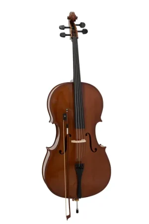 DIMAVERY Violoncelle 4/4 et étui souple | Tout juste arrivé