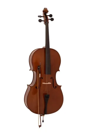 DIMAVERY Cello 4/4 with Soft Bag - Nouvel arrivage