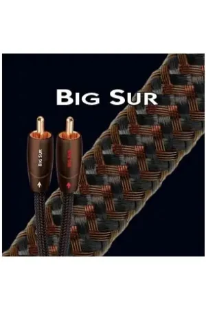 Tendance - AUDIOQUEST BIG SUR CABLE MODULATION RCA 1M