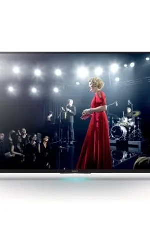 sony kdl65w955 ecran led fhd 166cm | Bon prix