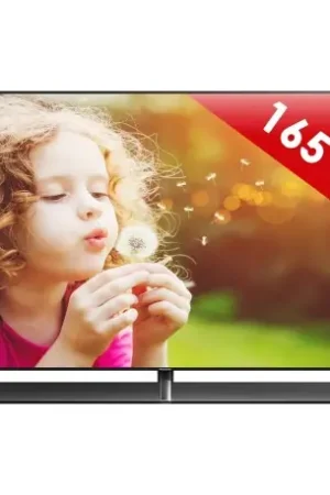 Préféré des clients | PANASONIC TX 65 EZ 1000E OLED 165CM MOTIONDRIVE HDMI USB