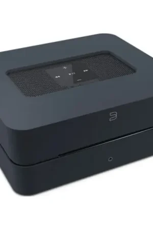 bluesound vault 2 i noir serveur audio | Direct fabricant