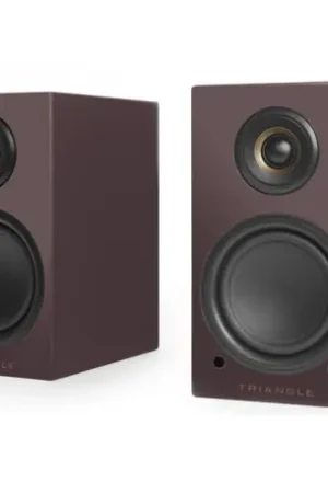 Disponible à la commande - Triangle ELARA LN01A enceinte sans fil la paire mauve