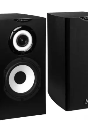 Disponible | cabasse minorca mc40 noir brossé