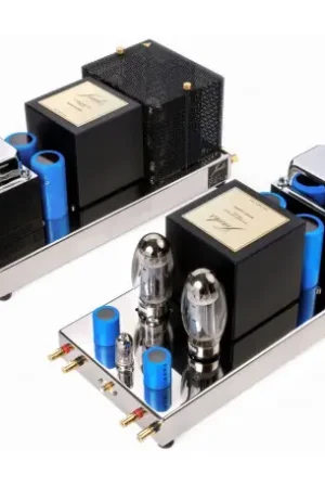 JADIS JA 30MKII (LA PAIRE) Amplis de puissance bloc mono - Qualité professionnelle