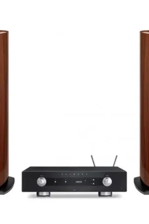 PACK TRIANGLE DELTA SIGNATURE CHENE DORE + PRIMARE AMPLI CONNECTE I35PRISMA DM36 NOIR + CABLE SYMPHONIE 2X3M - Produit phare