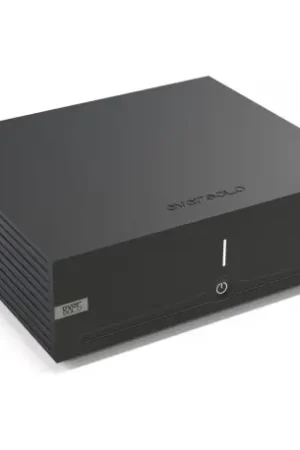 Meilleure vente - EVERSOLO AMP F2 Amplis de puissance