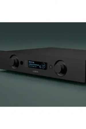 Lumin P1 Mini lecteur réseau audiophile compact et performant - À ne pas manquer