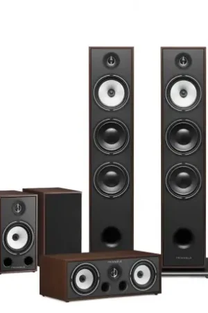 triangle pack 5.0 br08 enceinte colonne + brc1 voie centrale + br03 enceinte bibliotheque noyer | Disponible maintenant