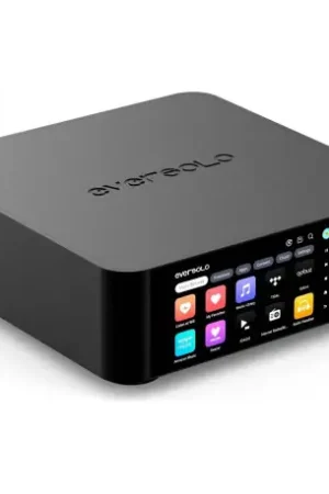 Tout nouveau | EverSolo Play Ampli hi-fi stéréo