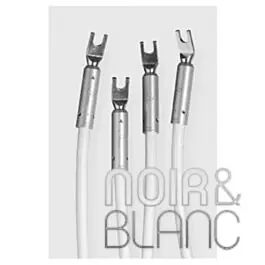 Argento Audio Flow - Câbles enceintes - Commandez en ligne