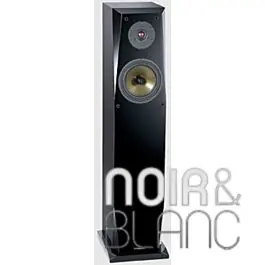 Focus Audio FP-70 SE | En stock