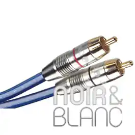 Câble RCA Cambridge Audio Audio 300 Modulation - Très demandé