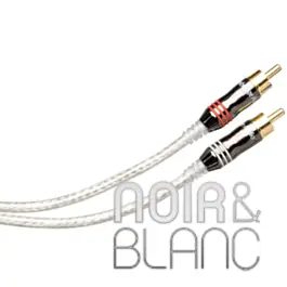 Câble RCA Cambridge Audio Audio 500 Modulation - Déstockage