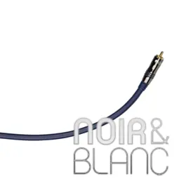 Retour facile | Câble coaxial Cambridge Audio Digital 300