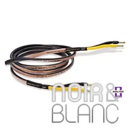 Nouveau produit - Câbles Haut-parleurs Analysis Plus Black Oval 12