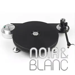 Platines vinyles Michell TechnoDec - Économisez maintenant