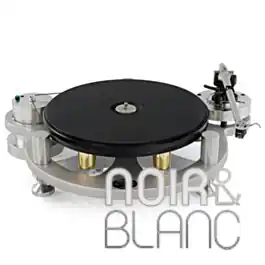 Offre à durée limitée | Platines vinyles Michell Gyro SE