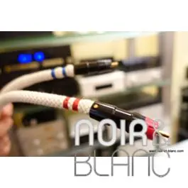 Aktyna SCM Cortex Master Reference RCA | Bien noté